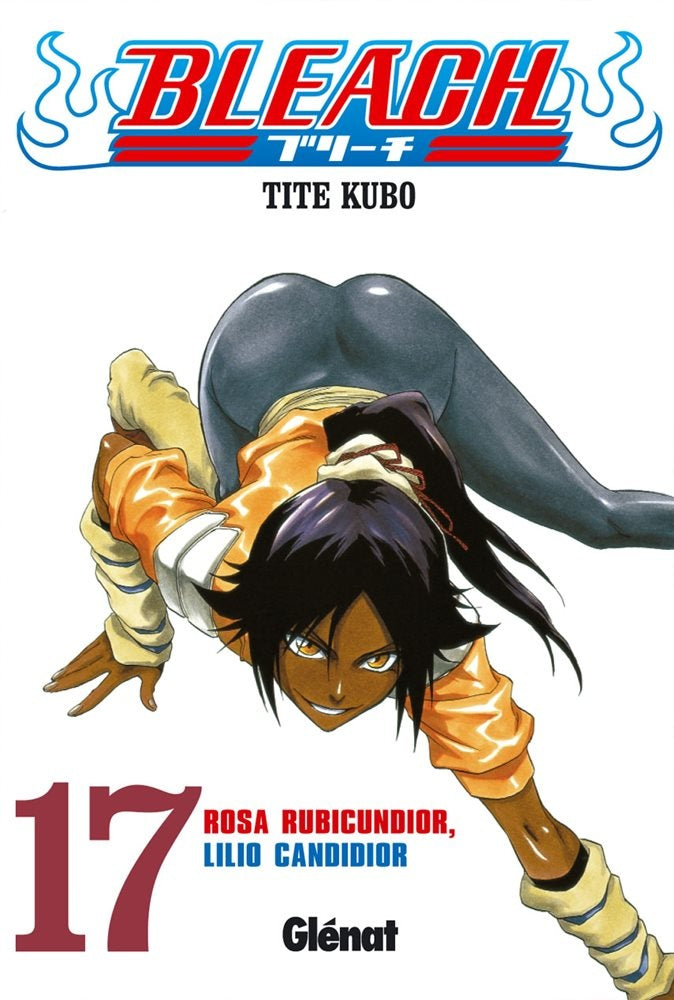 Bleach 17 | Tite Kubo