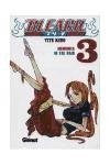 Bleach 3