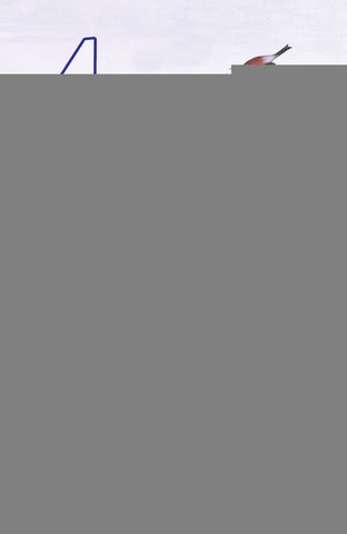 Artes para ser apóstol | Manuel González García