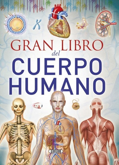 Gran libro del cuerpo humano  | sin autor