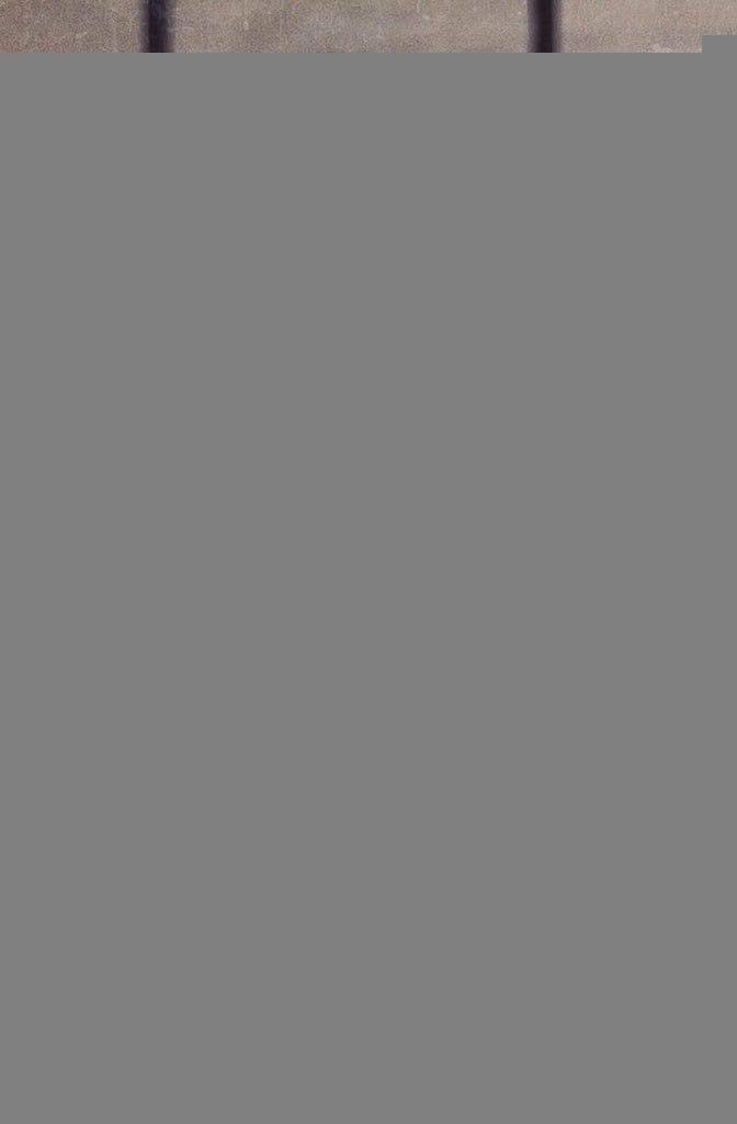 NO HABLES CON EXTRAÑOS | Harlan Coben