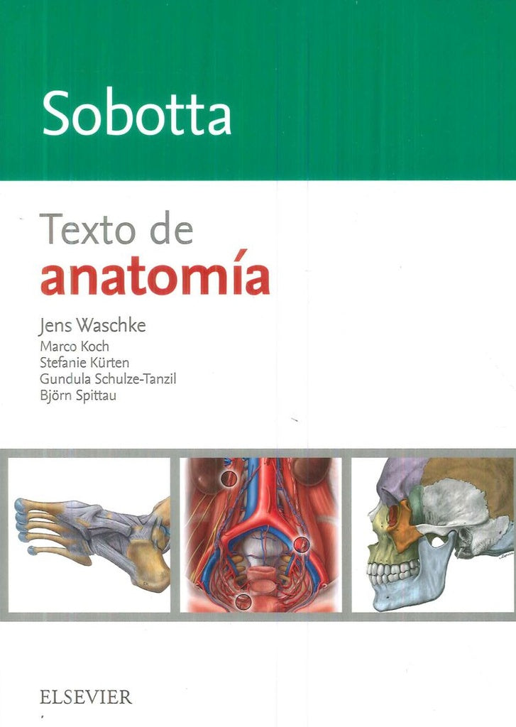 SOBOTTA.TEXTO DE ANATOMÍA.. | WASCHKE