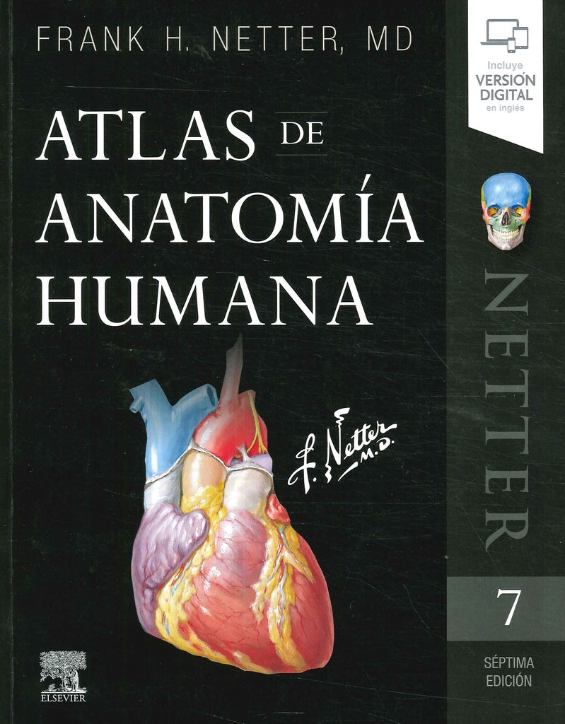 ATLAS DE ANATOMIA HUMANA | Frank Netter
