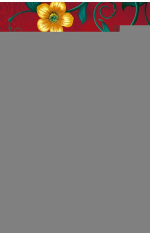 El secreto de la contadora de historias  | Sejal Badani