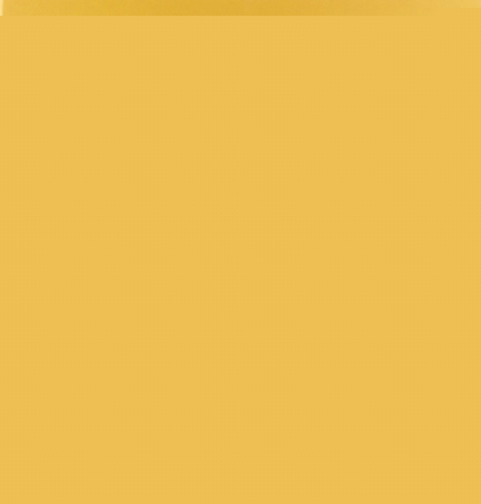 PEQUEÑO AZUL Y PEQUEÑO AMARILLO.. | LEO LIONNI