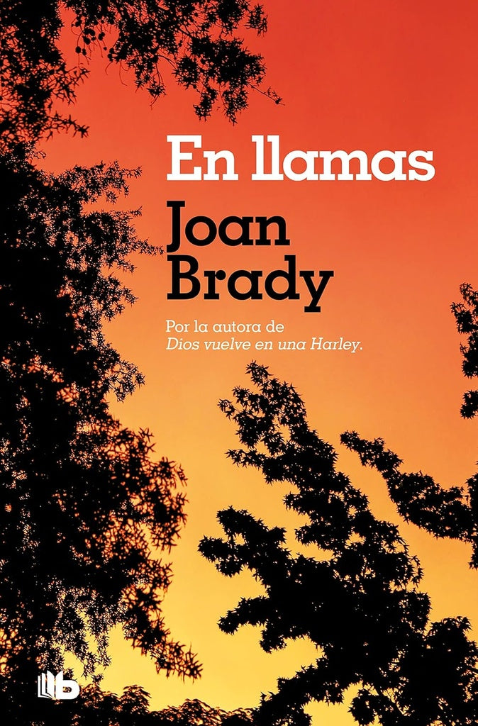 EN LLAMAS.* | Joan Brady