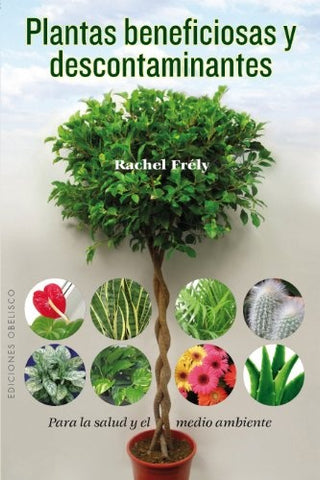 Plantas beneficiosas y descontaminantes