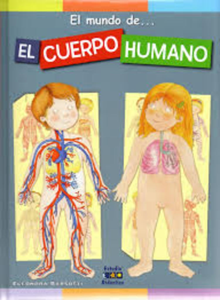 El mundo de.. El cuerpo humano  | Eleonora  Barsotti