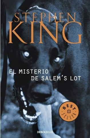 EL MISTERIO DE SALEM S LOT | Stephen King