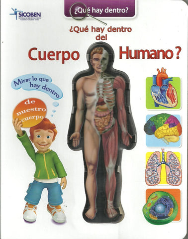 Que Hay dentro Del Cuerpo humano?