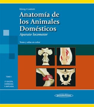 Anatomia de los animales domesticos Tomo 1 | Konig - Liebich