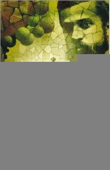 EL SILENCIO DE GAUDI | JUAN DAVID MORGAN