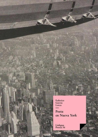 Poeta en Nueva York | Federico García Lorca