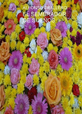 El sembrador de sueños  | ALFONSO TRALLERO