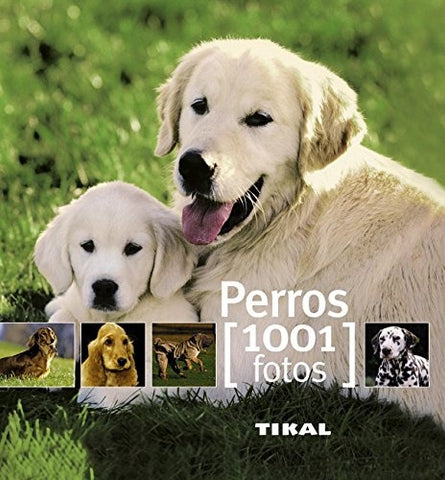 perros- 1001 fotos