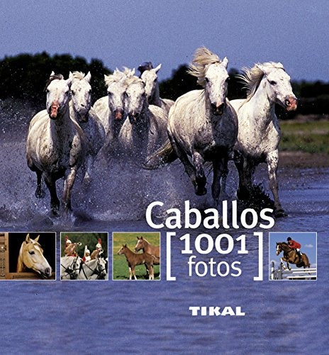 caballos. 1001 fotos