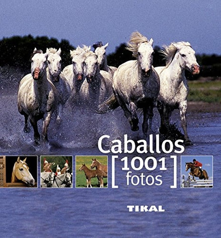 caballos. 1001 fotos