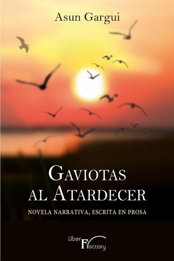 Gaviotas al atardecer | Asun Gargui