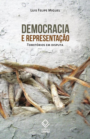 Democracia e representação | Luís Felipe Miguel