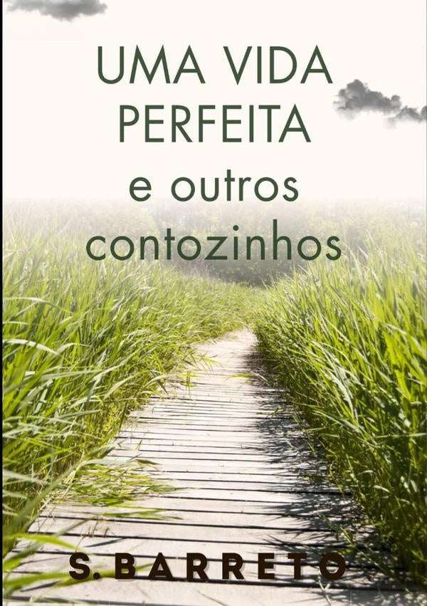 Uma Vida Perfeita E Outros Contozinhos | S. Barreto