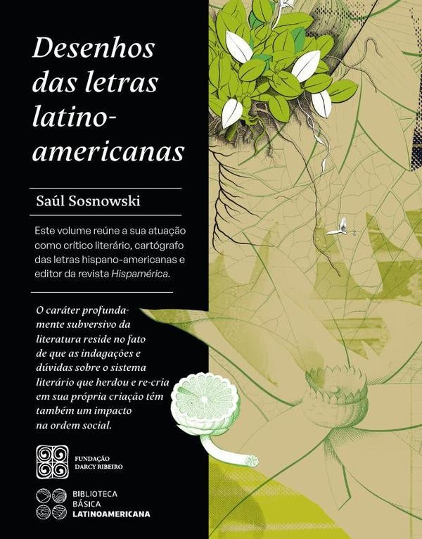Desenhos das letras latino-americanas | Patiño, Sosnowski