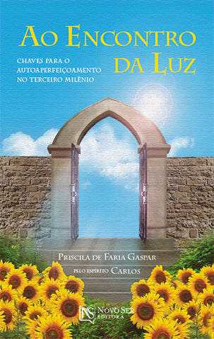 Ao encontro da luz | Priscila de Faria Gaspar