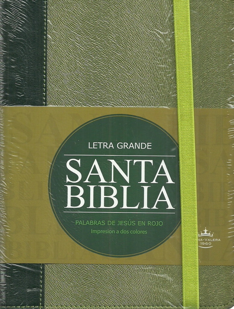 BIBLIA VERDE. LETRA GRANDE