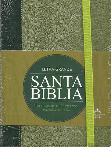 BIBLIA VERDE. LETRA GRANDE