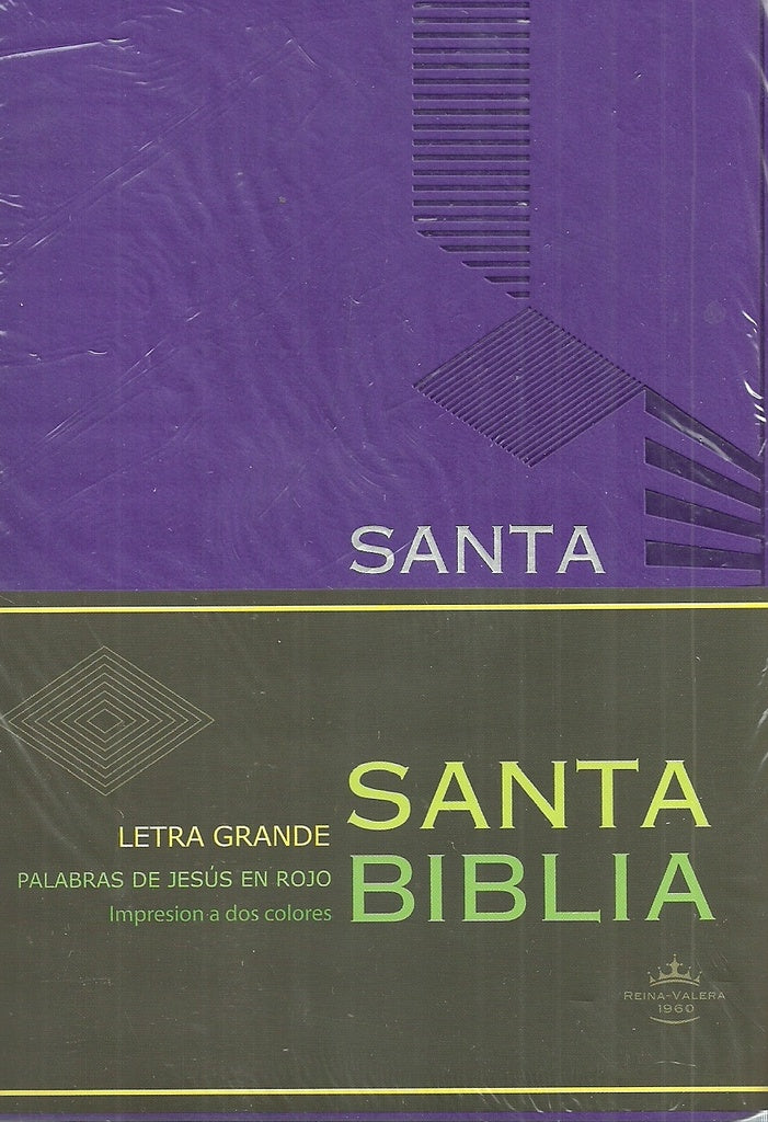 santa biblia. RVR045CLG PJR MDM/PURPURA