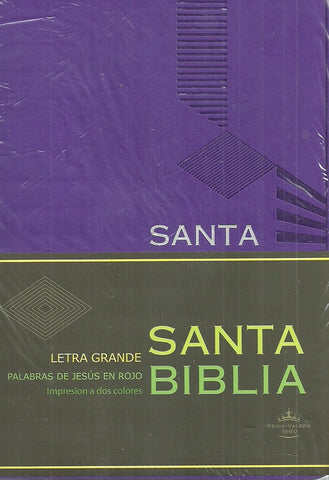 santa biblia. RVR045CLG PJR MDM/PURPURA