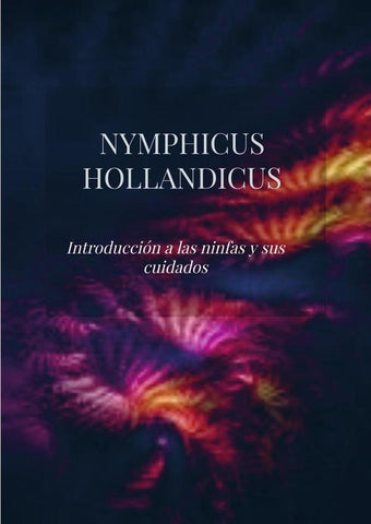 Nymphicus hollandicus | María  Laserna Mateos