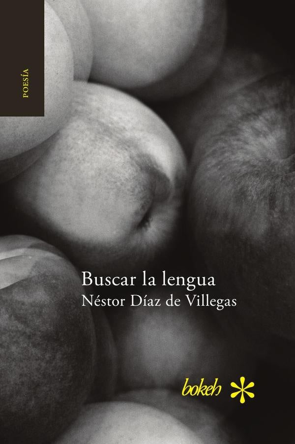 Buscar la lengua. Poesía reunida 1975-2015 | Néstor Díaz de Villegas