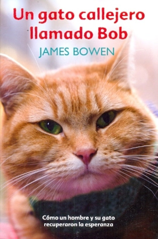 Un gato callejero llamado Bob | James Bowen