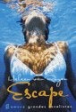 Escape | Royen, Salvetti