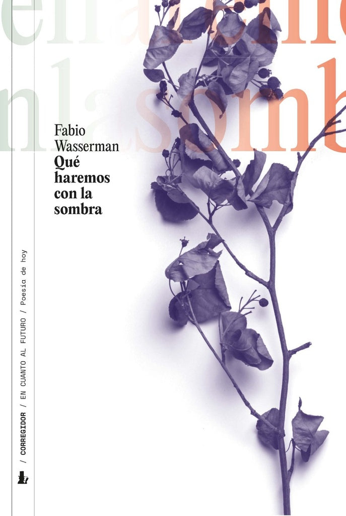 Que haremos con la sombra  | Fabio Wasserman