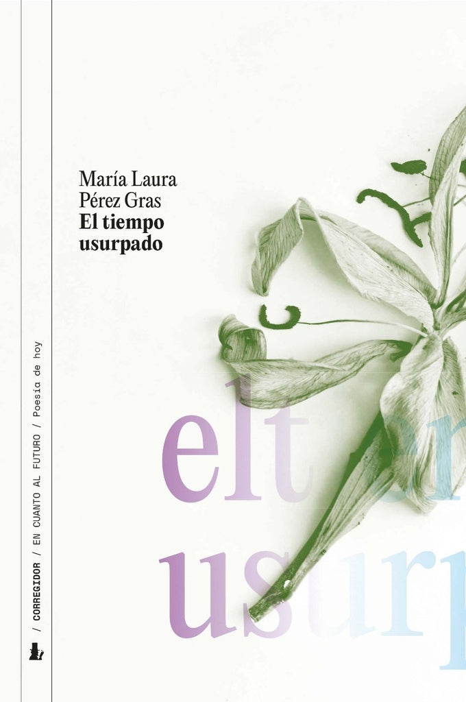 El tiempo usurpado  | MARIA LAURA PEREZ GRAS