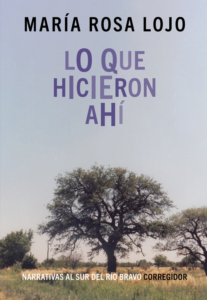 Lo que hicieron ahí  | María Rosa Lojo de Reuter