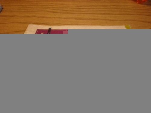 Las delicias del jardin | Solange Camauer