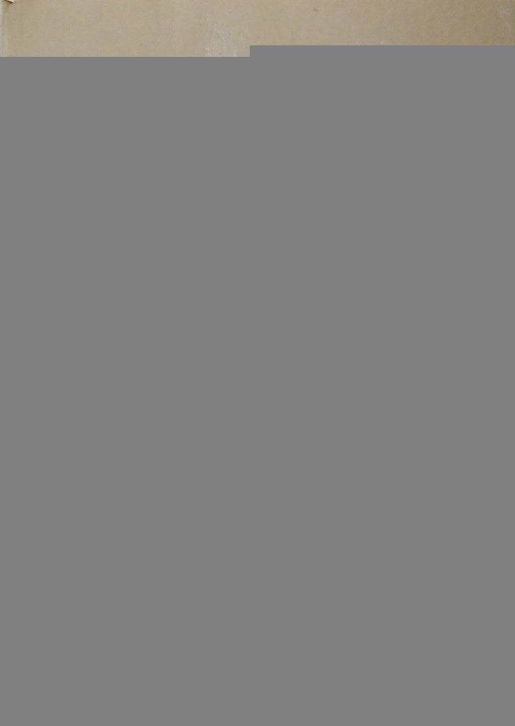 Los secretos de Hitler | Abel Basti