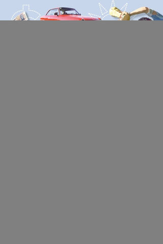 ESTAMOS COMO SOMOS por que los Argentinos no tenemos el pais que queremos | TOMAS BULAT