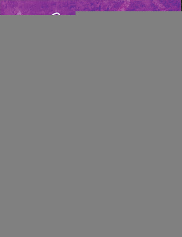 Cuentos de Grimm* | Grimm-Grimm