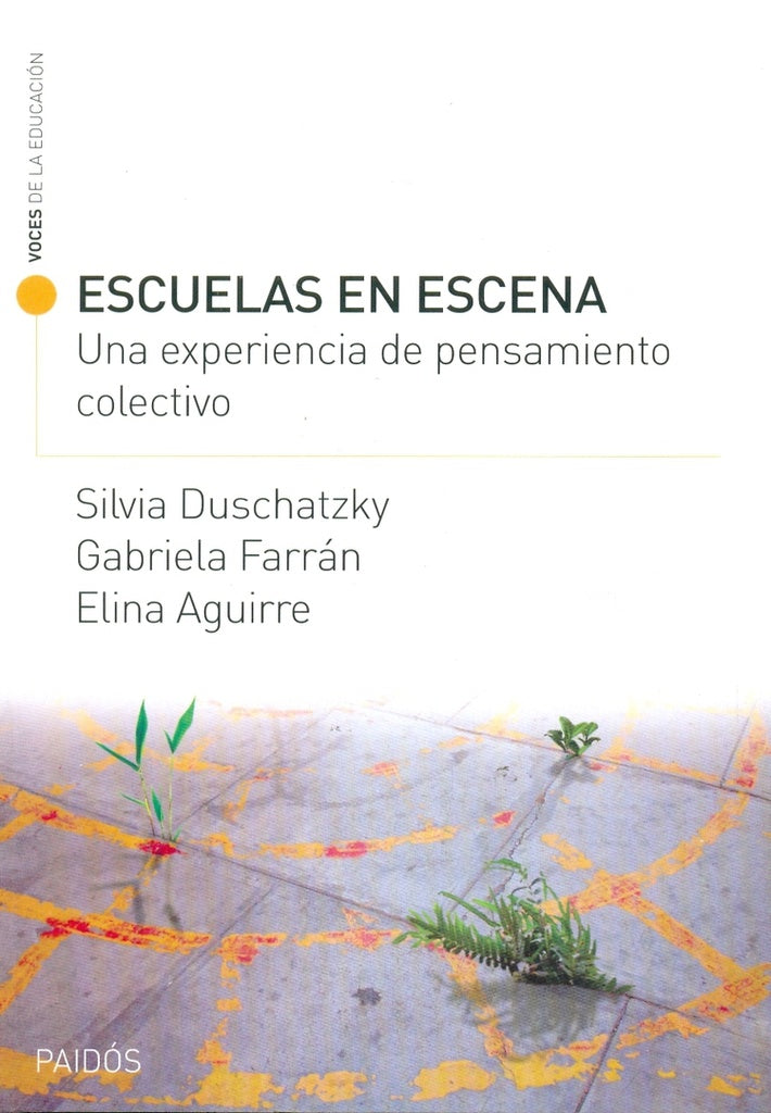 ESCUELA EN ESCENA | Silvia Duschatzky
