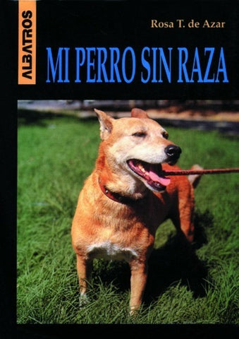 Hidroponia