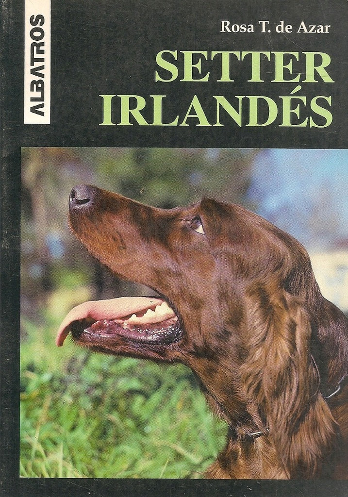 SETTER IRLANDÉS.. | Rosa Taragano de Azar