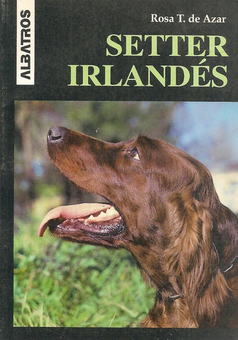 SETTER IRLANDÉS.. | Rosa Taragano de Azar