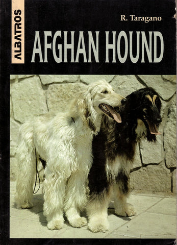 AFGHAN HOUND | Rosa Taragano de Azar