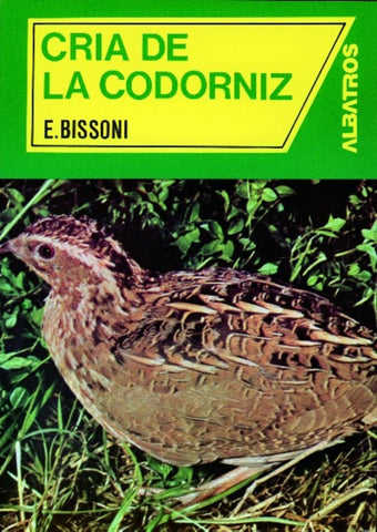 Cria de la codorniz | E. BISSONI