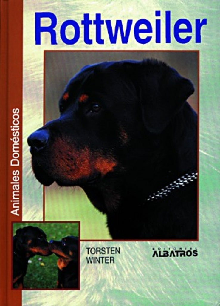 Rottweiler | Winter Torsten