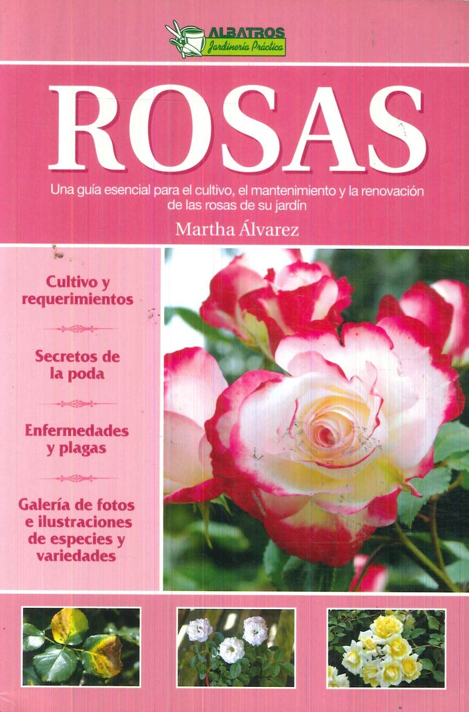 ROSAS | Martha Alvarez