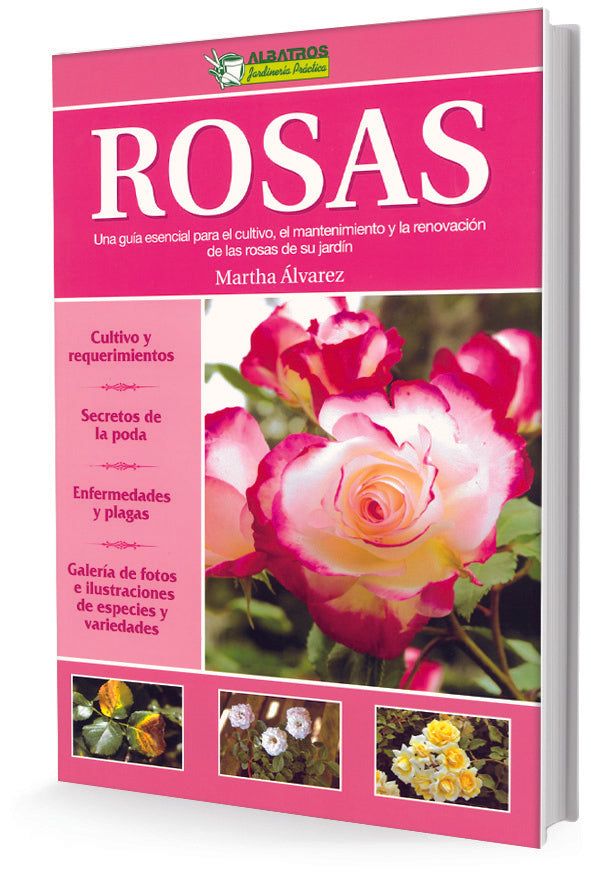 Rosas | Marta Álvarez